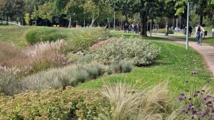 Fotó: Vincze Tamás, Magnolia Art Kertépítő Kft.