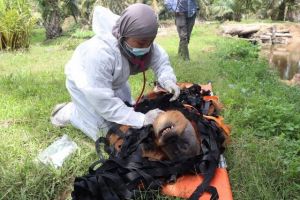 A kép forrása: HVG/Tech