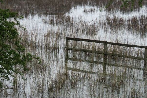 A kép forrása: Unplash/Chris