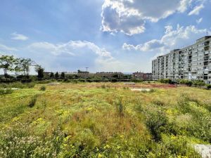 Fotó: Dezsényi Péter, Szabó József