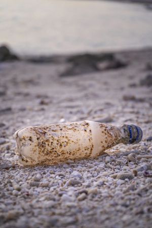 A kép forrása: Pixabay