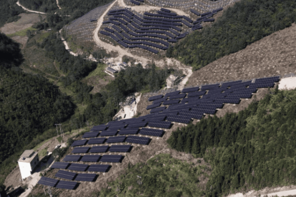 A kép forrása: BBC News