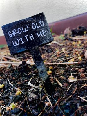 A kép forrása: Unplash/Aspen Cienna