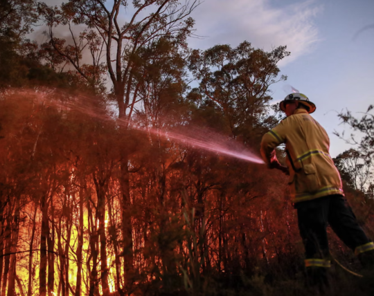 Photograph: The Guardian/ Roni Bintang/Getty Images