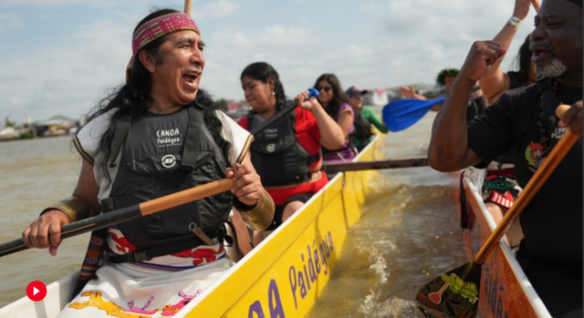 A kép forrása: AP Video: Joshua A. Bickel, Teresa de Miguel and Andre Penner