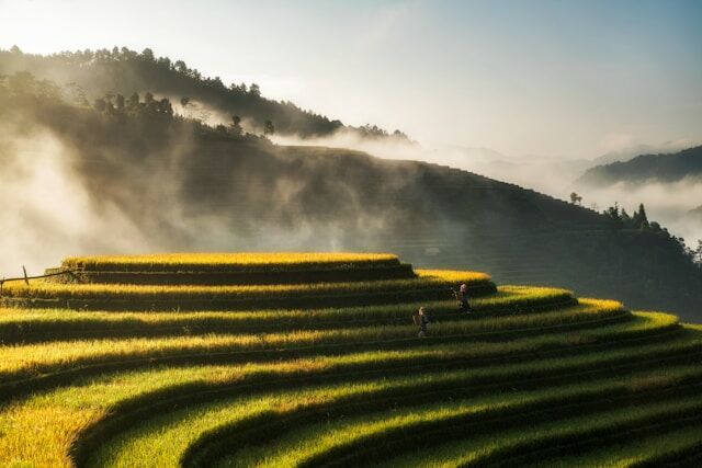 A kép forrása: Unplash/hoach-le-dinh