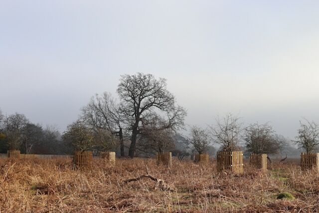 A kép forrása: Unplash/Tanya Barrow