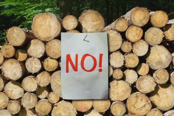 A kép forrása: Unplash/immo-wegmann