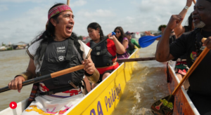 A kép forrása: AP Video: Joshua A. Bickel, Teresa de Miguel and Andre Penner