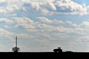 A kép forrása: kultura.hu