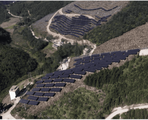 A kép forrása: BBC News