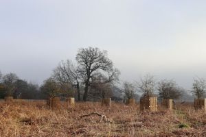 A kép forrása: Unplash/Tanya Barrow