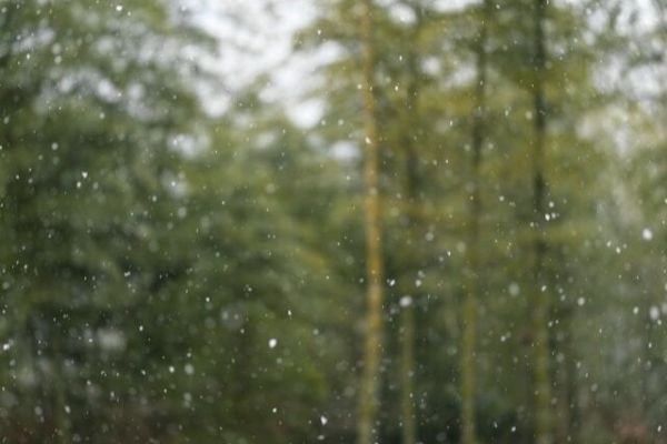 A kép forrása: Unplash/Tianhao Zhang