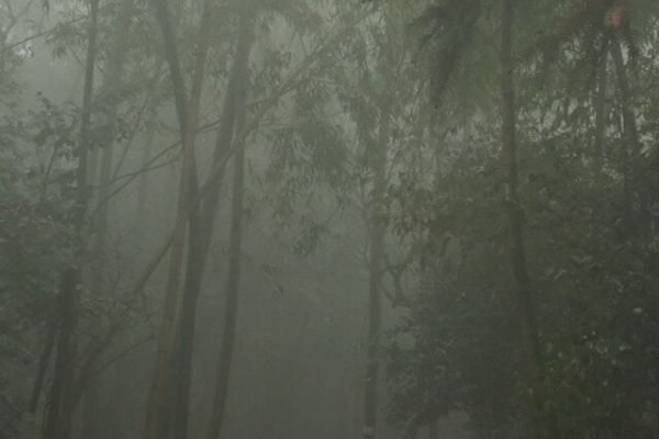 A kép forrása: Unplash/Tianying xu