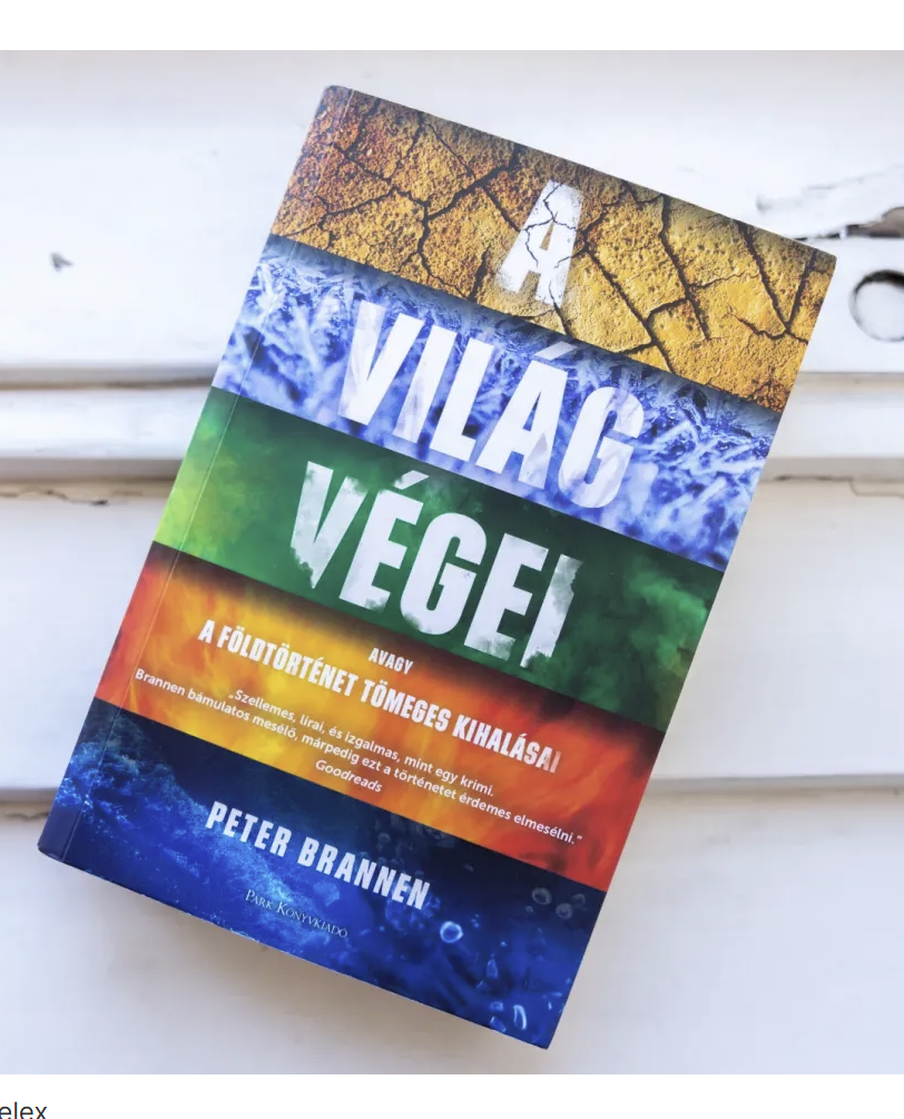 Fotó: Németh Sz. Péter / Telex