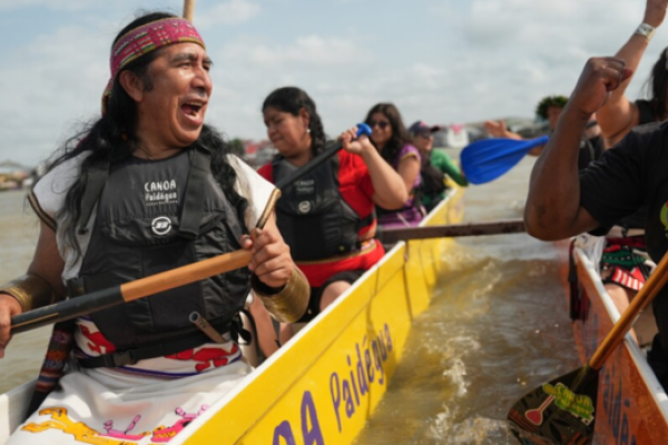 A kép forrása: AP Video: Joshua A. Bickel, Teresa de Miguel and Andre Penner